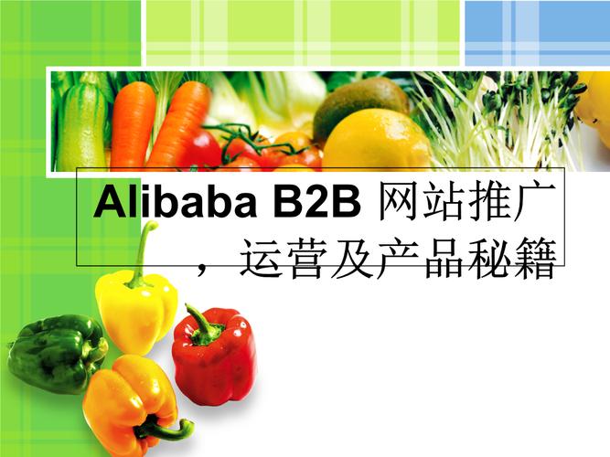 阿里巴巴B2B网站推广运营及产品秘籍讲解
